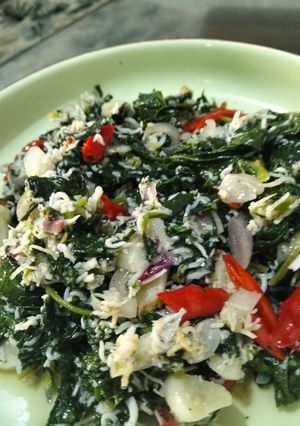 Foto resep Tumis Teri Daun Singkong