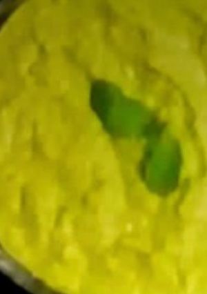 A picture of धनिया पुदीना आम की गुजराती चटनी(dhaniya pudeena aam ki gujarati chatni recipe in hindi).