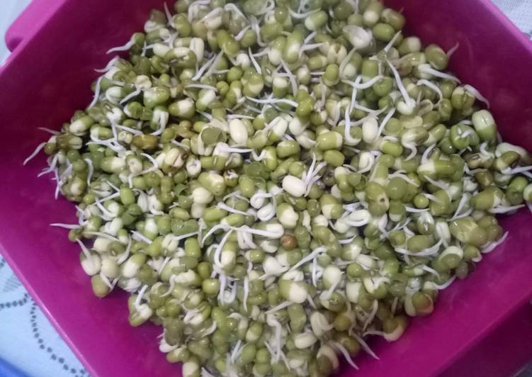 Resep Toge mentah yang nikmat
