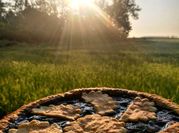 Una foto di crostata di more
