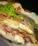 Sándwich Especial
