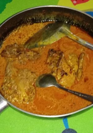 Foto resep Opor Ayam pedas
