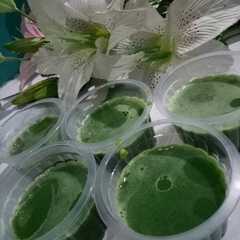 รูปของ Silky puding green tea(moru banget)