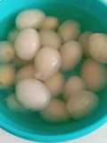 118. Asinan Rambutan