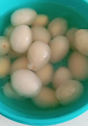 Foto resep 118. Asinan Rambutan