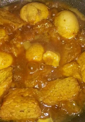 Foto resep Terik kecap telur, ayam,tahu,tempe ala erika