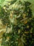 Salsa Pesto