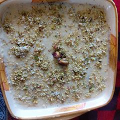 A picture of Rice and sawayan kheer.