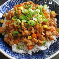 A picture of Vegan Soy Meat Soboro Don.