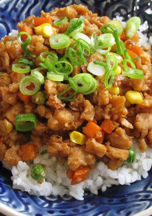 A picture of Vegan Soy Meat Soboro Don.