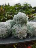 Klepon