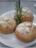 Pan criollo