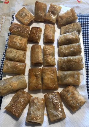 Foto di I miei “involtini primavera”