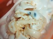 Gambar gelato tanpa susu kental manis