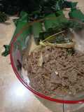 Isian lemper daging sapi