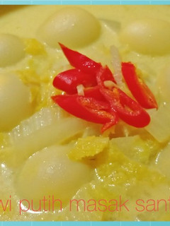 Foto resep Sawi putih masak santan