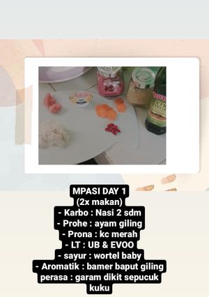 Foto resep MPASI 6 bulan: Bubur Semur Ayam Wortel