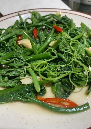 Foto resep Tumis Pucuk Labu