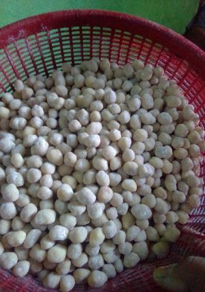 Foto resep Kacang telur