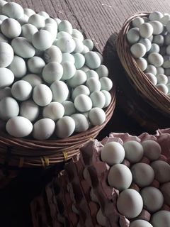 Foto resep Telor asin