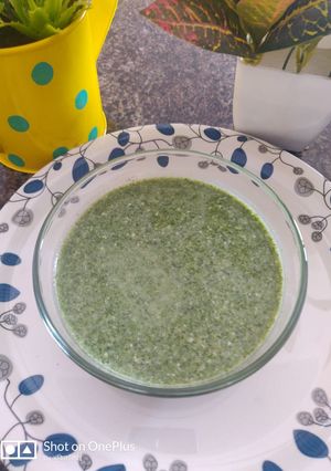 पालक का रायता(palak ka raita recipe in hindi) रेसिपी मुख्य फोटो
