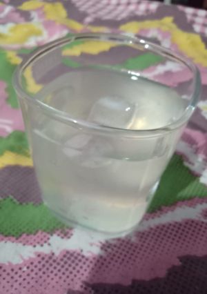 A picture of Lemonade.