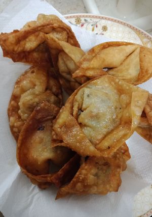 A picture of Wonton.