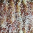 Canelones de verdura ultra rápidos