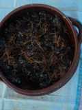 Carne molida de las tías con zanahoria rallada a lo Jalisco.                     (Botana)
