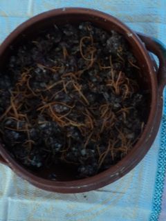 Una foto de Carne molida de las tías con zanahoria rallada a lo Jalisco.                     (Botana)
