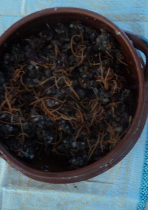 Una foto de Carne molida de las tías con zanahoria rallada a lo Jalisco.                     (Botana)