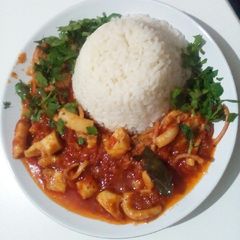 A picture of Octopus with sauce and rice.