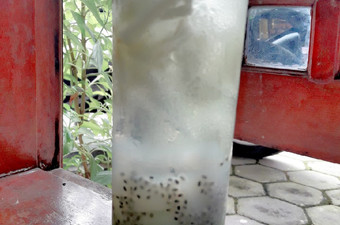 Resep Es melon serut biji selasih Untuk Pemula