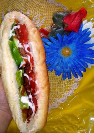 عکسی از دستور ساندویچ خونگی