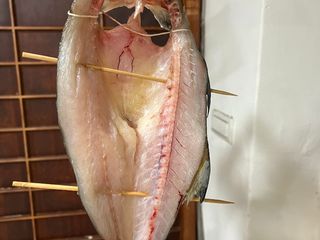 自製午魚一夜乾
