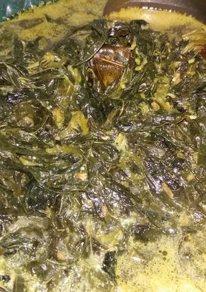 Foto resep Opor daun singkong