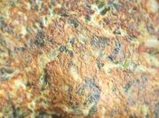 Una foto de tortilla de papa y puerro