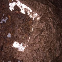 A picture of Mississippi Mud Cake.