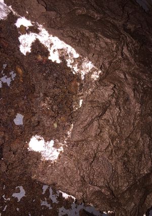 A picture of Mississippi Mud Cake.