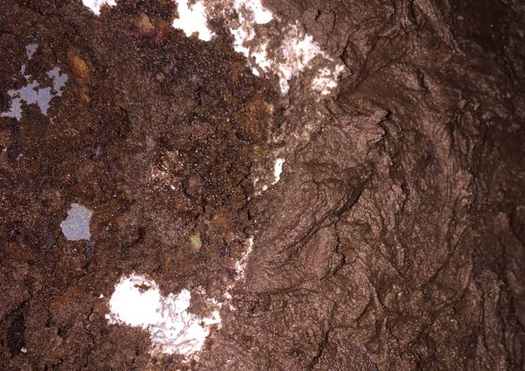 Mississippi Mud Cake