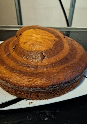 Une photo de Gâteau zèbre