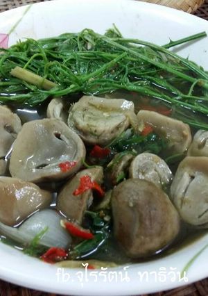 รูปของ แกงเห็ดฟาง
