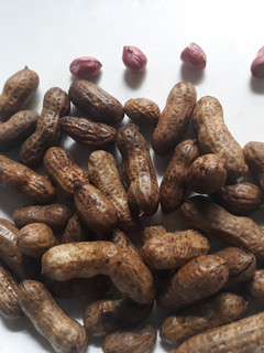 A picture of Groundnut.