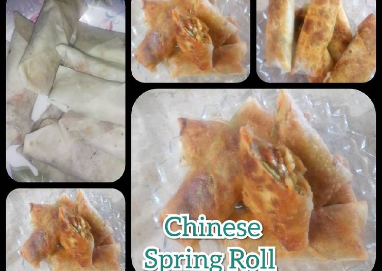 Tuesday Fresh Chinese Spring Roll Recipe