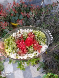 عکسی از دستور سالاد شیرازی