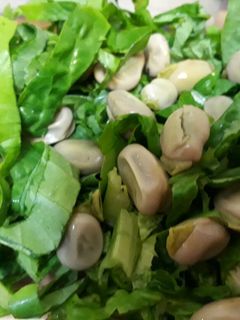 Una foto de Ensalada de habas con lechuga de la casa