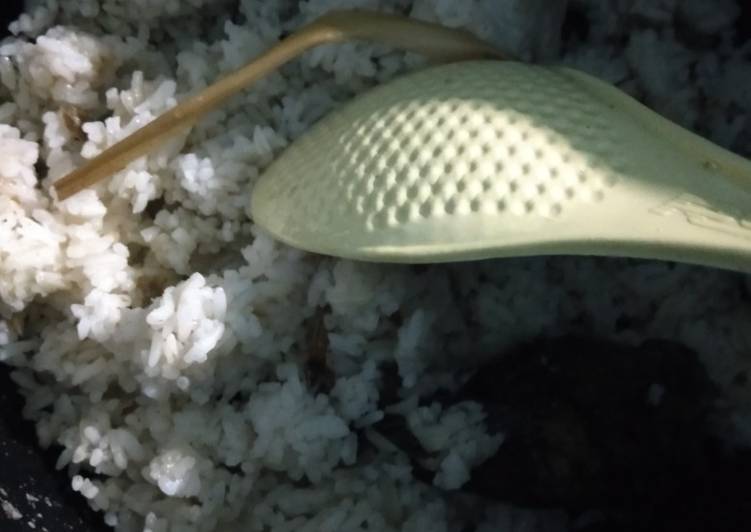 Bagaimana Membuat Nasi liwet teri rice cooker, Menggugah Selera