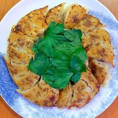 A picture of Lamb Gyoza with Coriander and cumin seeds.