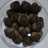 Coklat doggie cookies