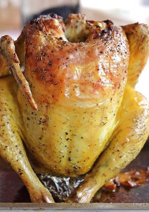 Una foto de Pollo sentado
